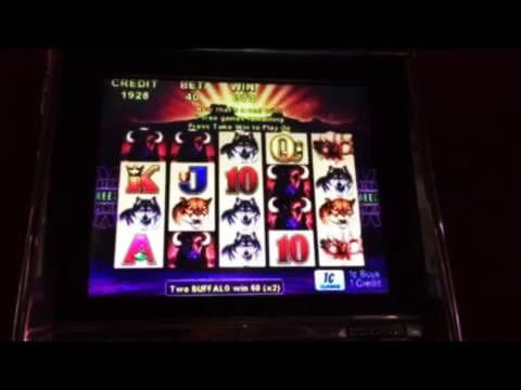 40 Free spins at Party Casino