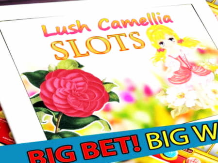 €645 FREE CHIP CASINO at Spinland Casino