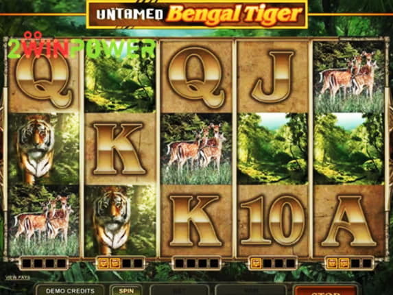£4950 No Deposit at Come On Casino