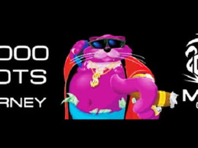 310% First deposit bonus at Mr. Win Casino