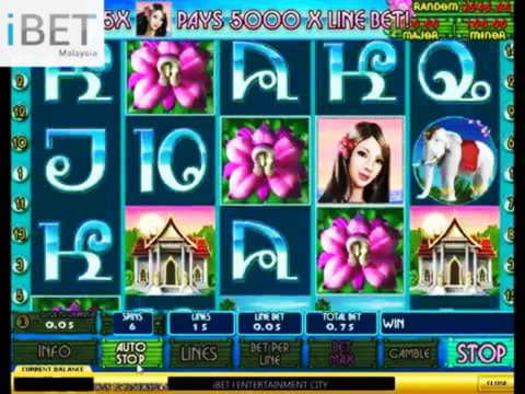 285 Free Casino Spins at Spinland Casino