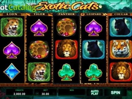 ﻿$50 Free Cash at Rizk Casino