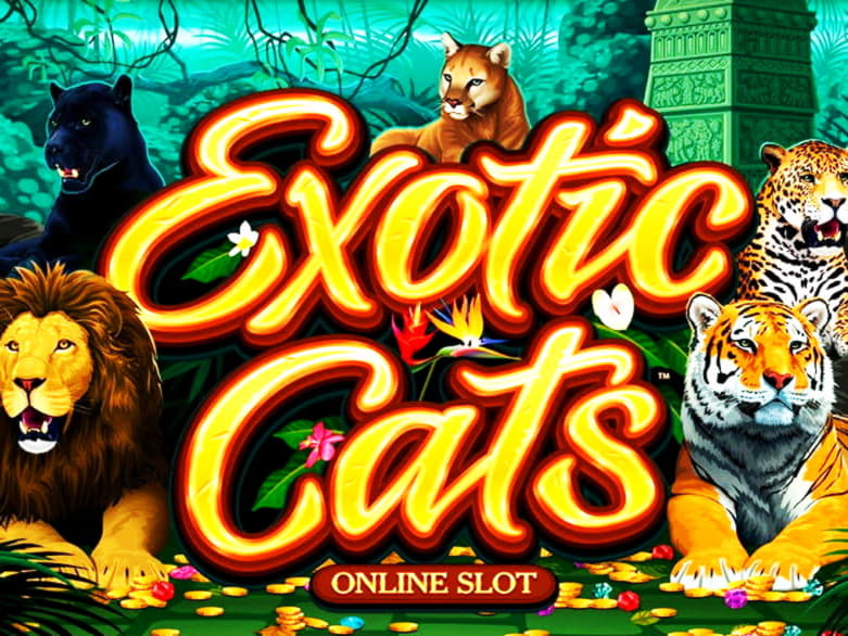 600% Welcome Bonus at Rizk Casino