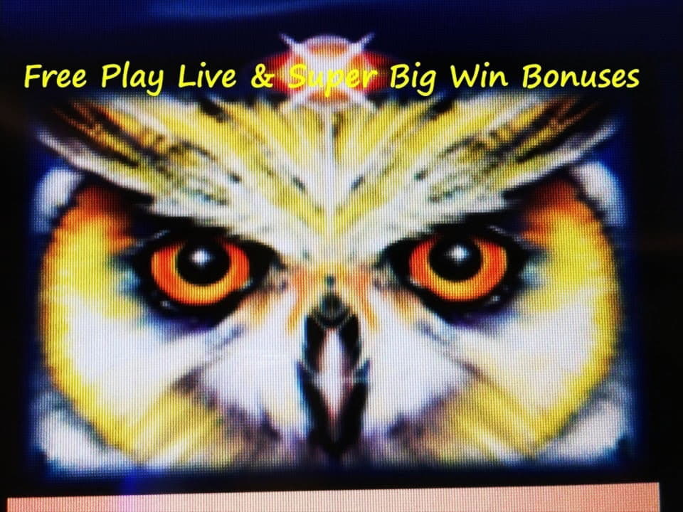 $333 Online Casino Tournament at Party Casino