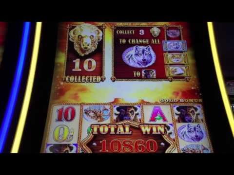 222 Free spins casino at Super Lines Casino