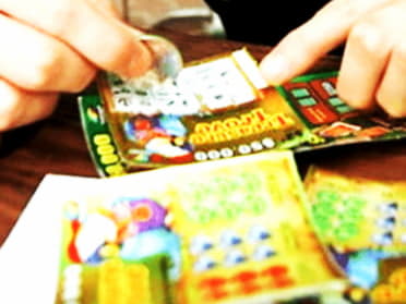 560% First deposit bonus at Net Bet Casino