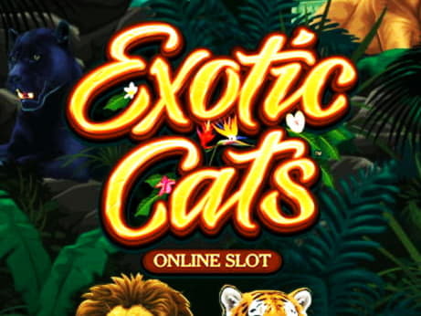 165% Signup casino bonus at Get Lucky Casino