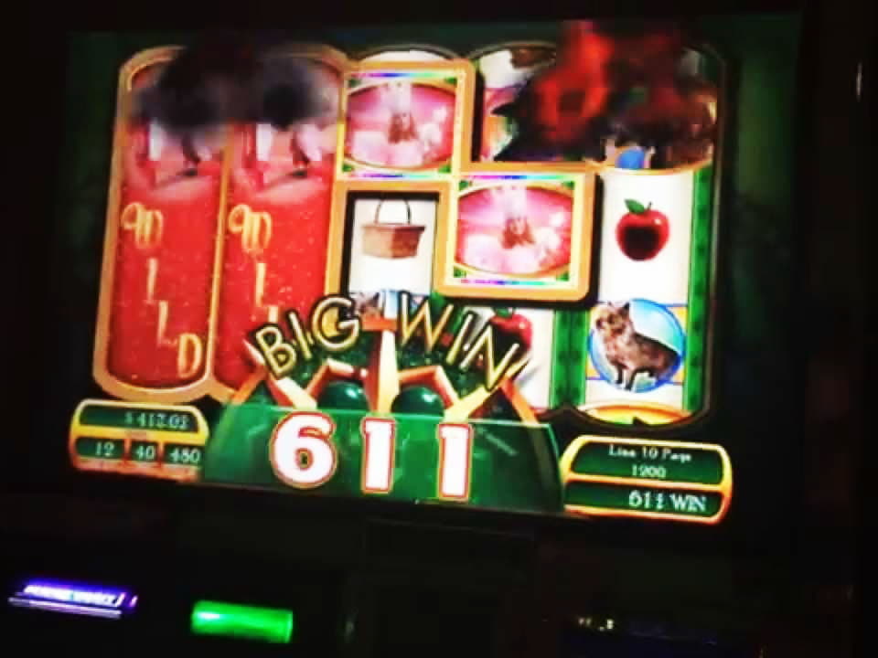 460% Welcome Bonus at Leo Dubai Casino