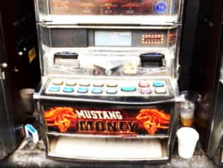 €4730 no deposit bonus at Royal Panda Casino