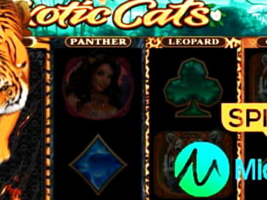 EURO 4220 NO DEPOSIT BONUS at Party Casino