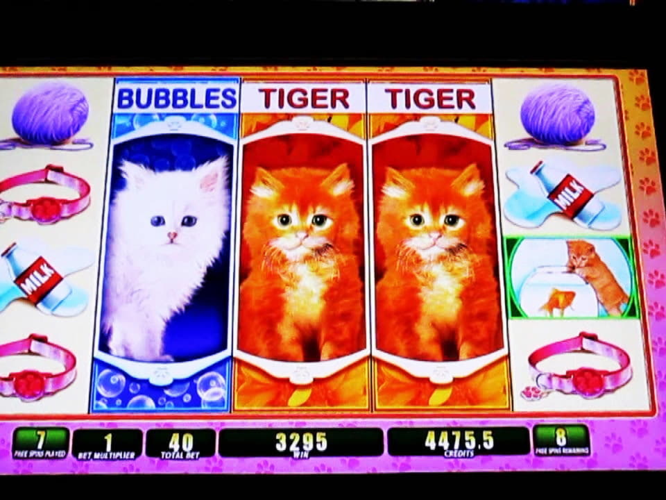 ﻿$2905 NO DEPOSIT at Ikibu Casino
