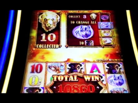 €710 Tournament at Ikibu Casino