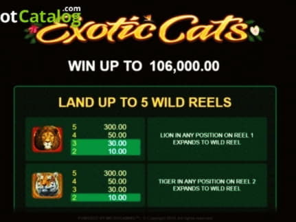 185% Match at a casino at Wink Slots Casino