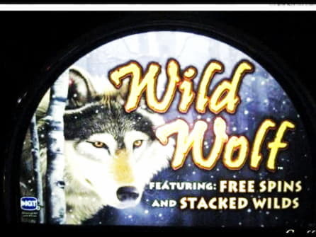 ﻿$355 Casino chip at bWin Casino