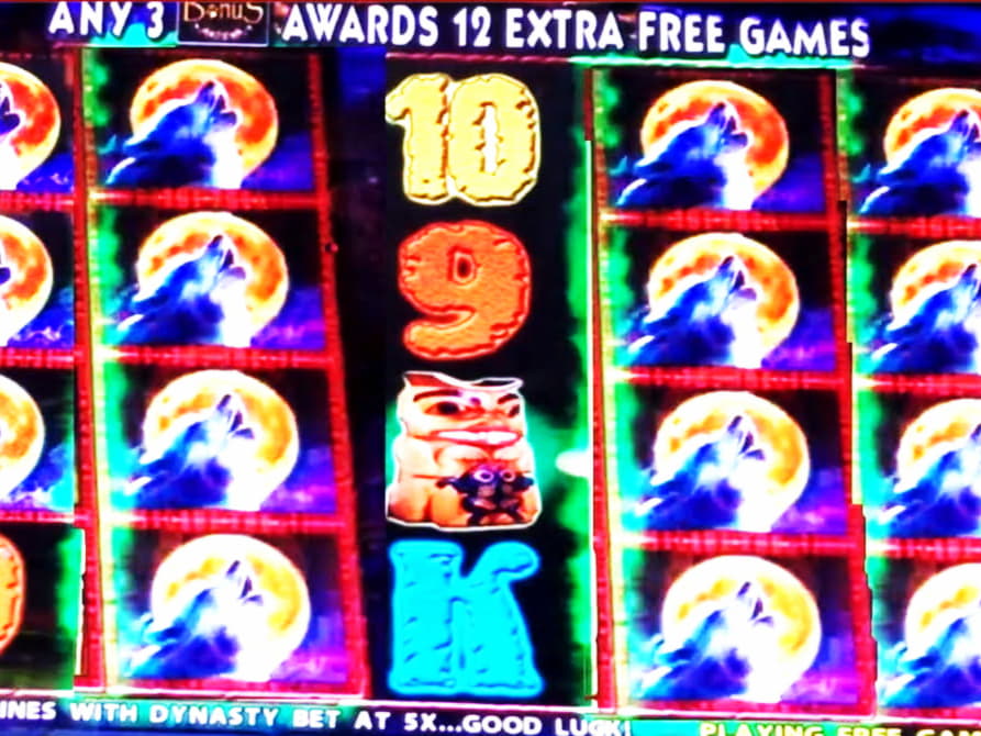 Eur 3565 No deposit bonus code at Spin Palace Casino