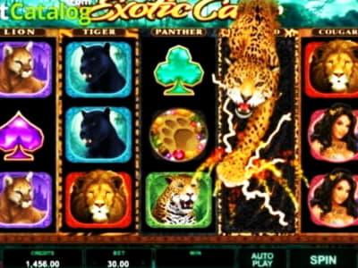 €2840 NO DEPOSIT at Joy Casino