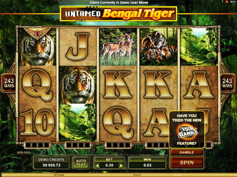 77 Free Casino Spins at Joy Casino