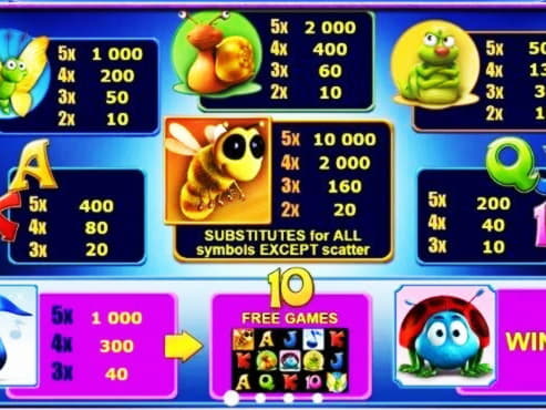 $665 Casino Tournament at Mr. Win Casino