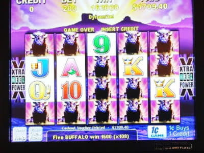 515% First Deposit Bonus at Joy Casino