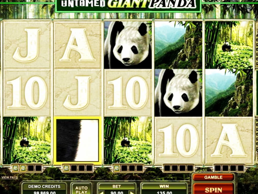 $985 Online Casino Tournament at Fruity Casa Casino
