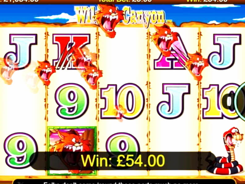 55 Free spins no deposit at LV Bet Casino