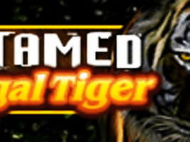 EUR 660 Online Casino Tournament at Spin Palace Casino