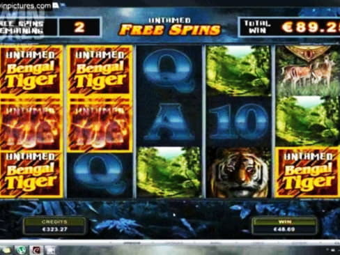 80 Free spins no deposit casino at LV Bet Casino