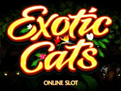 250% Match Bonus at bWin Casino