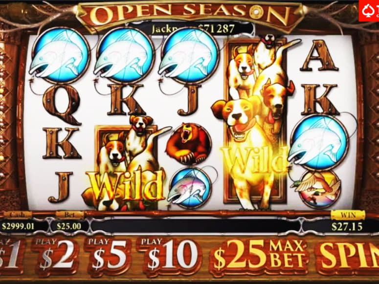 $200 Daily freeroll slot tournament at Leo Dubai Casino