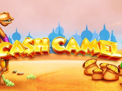 €480 Casino tournaments freeroll at Spinland Casino