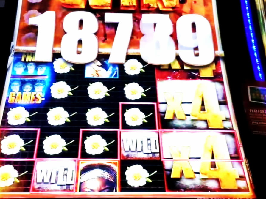 295 Free spins casino at Leo Dubai Casino