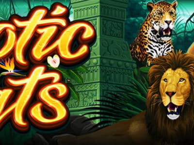 EUR 290 FREE CHIP CASINO at Royal Panda Casino
