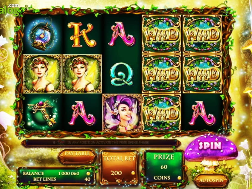 300% Match bonus casino at Net Bet Casino