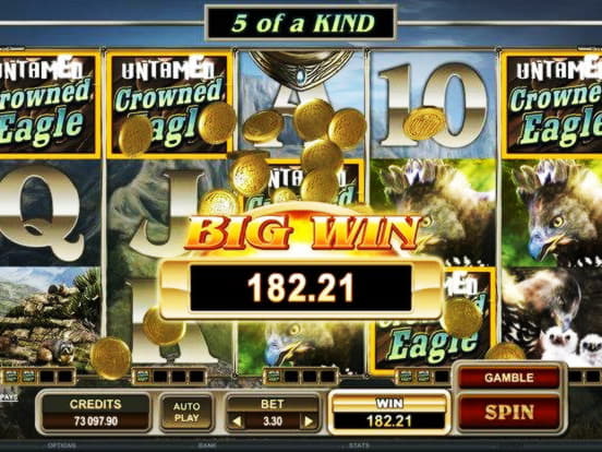 $4825 no deposit bonus code at Leo Dubai Casino