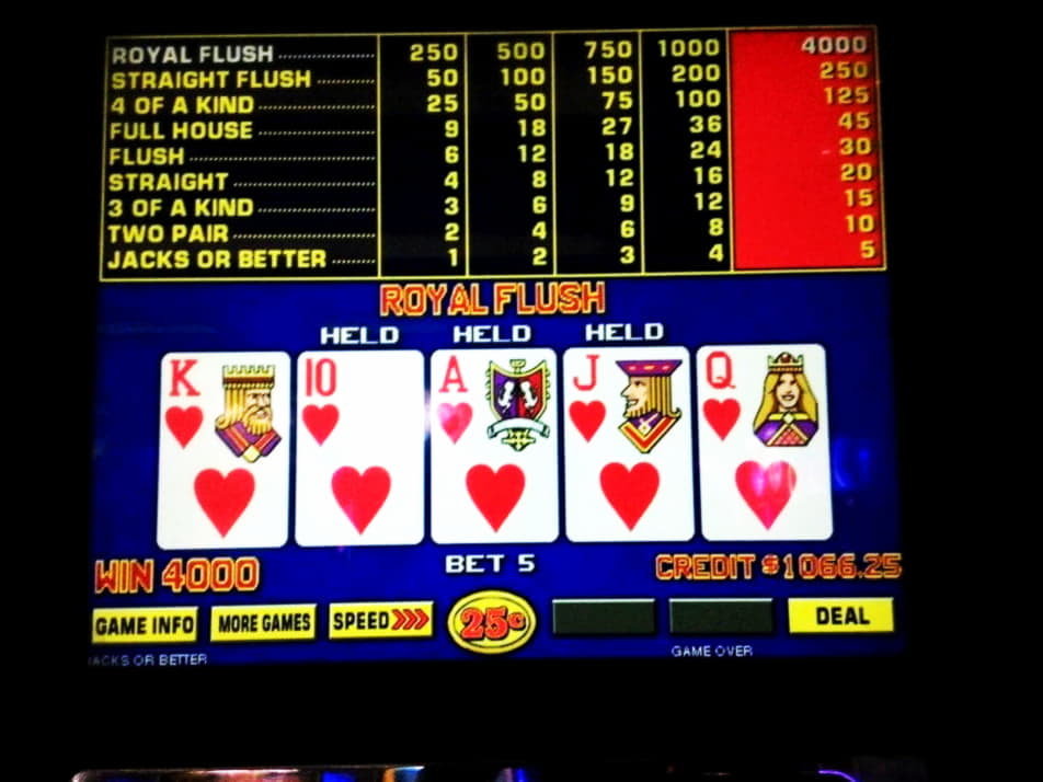 140 free casino spins at Rizk Casino