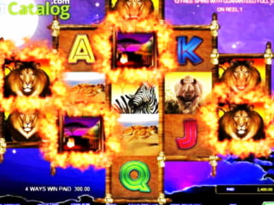 EUR 945 Tournament at Net Bet Casino