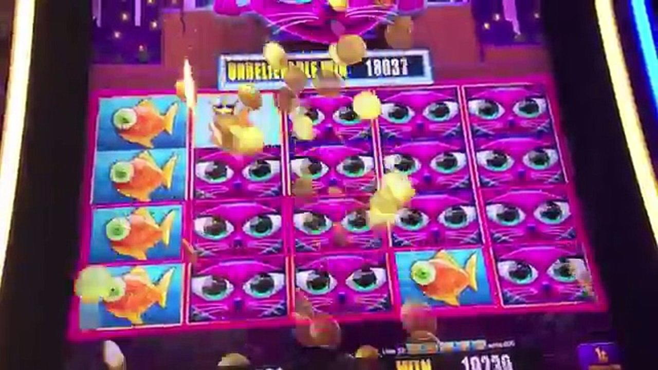 205 Free Spins no deposit at Tony Bet Casino