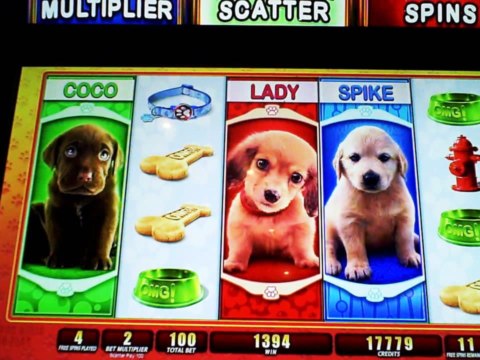 EURO 160 Daily freeroll slot tournament at Spin Palace Casino