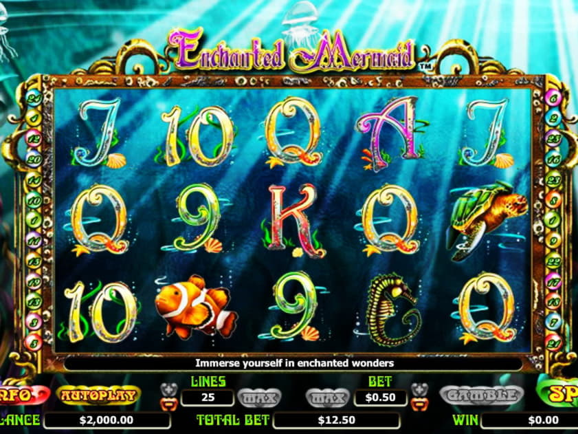 EURO 225 Free Money at Tony Bet Casino