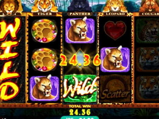 10 Free spins no deposit casino at Ikibu Casino