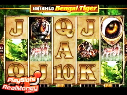 $330 Casino tournaments freeroll at Net Bet Casino