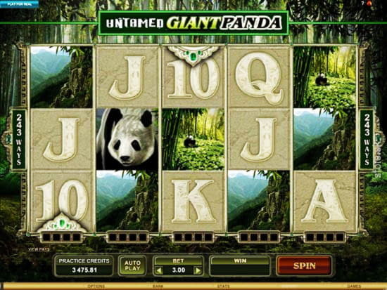 $575 FREE Chip at Net Bet Casino