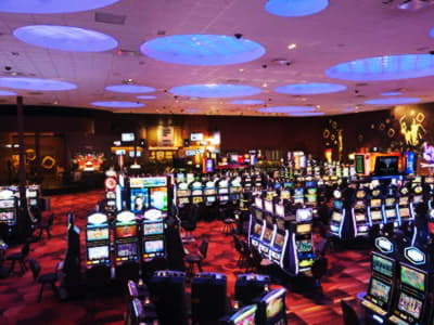 225 Free Casino Spins at Ikibu Casino