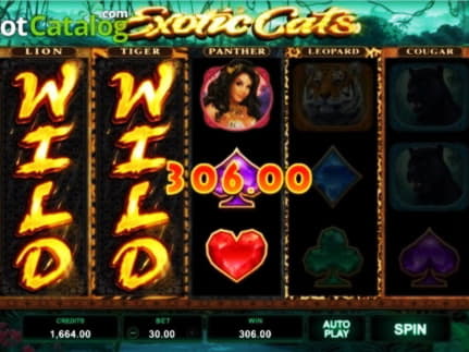 220% First Deposit Bonus at Mr. Win Casino