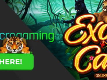 77 free spins no deposit at Bet At Home Casino