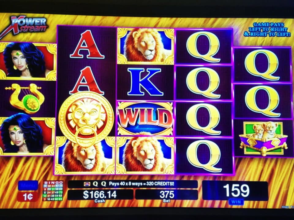 145 Free Casino Spins at Net Bet Casino