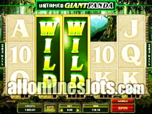 45 Free Spins at BGO Casino