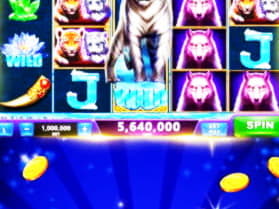 Eur 4715 No Deposit Bonus at BGO Casino