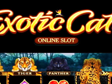$210 Free Chip Casino at Genesis Casino