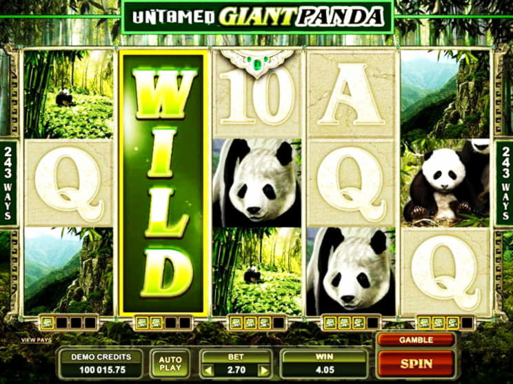 €2475 No Deposit Bonus Casino at Super Lines Casino